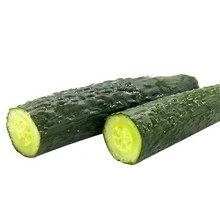 High yield Chinese vegetable hybrid F1 green cucumber seed